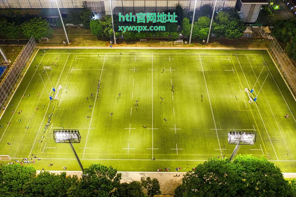 hth官网地址登录异常按顺序排查后恢复